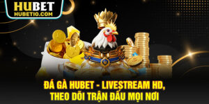 Đá gà HUBET